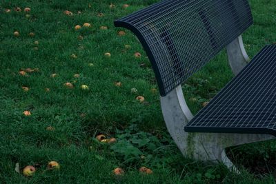 High angle view of empty bench on field