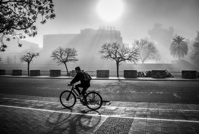 Man riding bicycle on road during sunny day