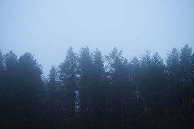 Trees in forest against clear sky