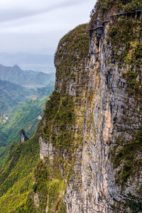 Plants growing on rock against sky