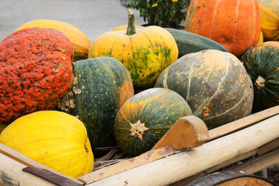 Close-up of pumpkins in market