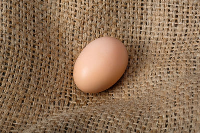 egg