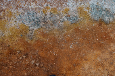 soil
