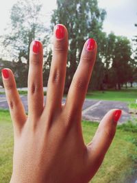 Cropped image of hand holding pink outdoors