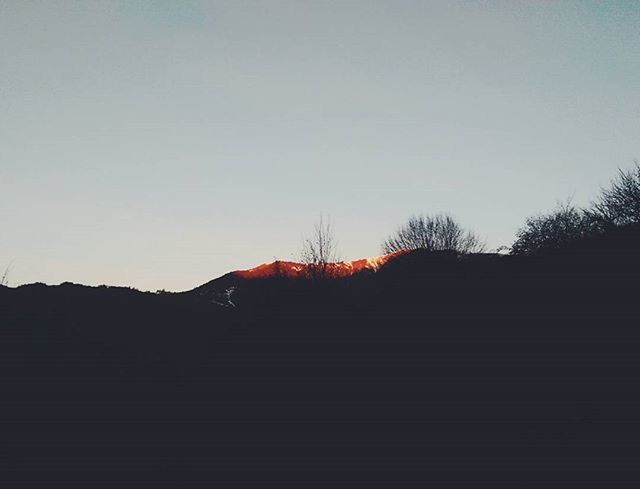 clear sky, silhouette, copy space, tree, dark, sky, sunset, tranquility, dusk, nature, tranquil scene, no people, built structure, outdoors, bare tree, low angle view, railing, the way forward, steps, beauty in nature