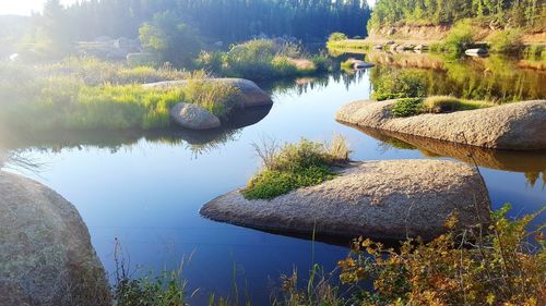 High angle view of pond