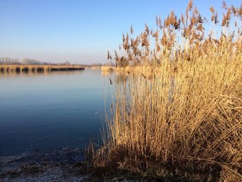 Scenic view of lake against clear sky