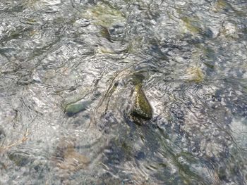 Full frame shot of water