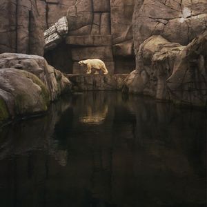 Rocks in water