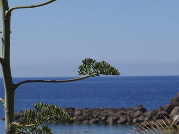 Scenic view of sea against blue sky