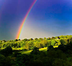 Scenic view of rainbow over trees on field