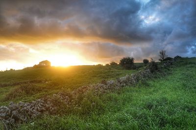 Scenic view of field against sky during sunset