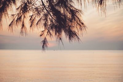 Scenic view of sea against sky at sunset