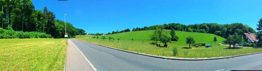 Panoramic shot of road amidst trees against clear blue sky