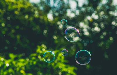 Close-up of bubbles against blurred background