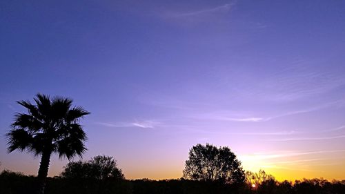 Low angle view of silhouette trees against romantic sky