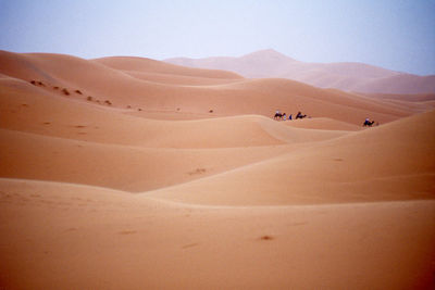 Scenic view of desert