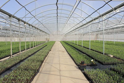 Scenic view of field seen through greenhouse against sky