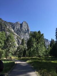 Scenic view of trees against clear blue sky