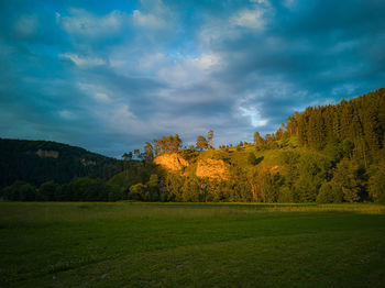 Trees on field against sky