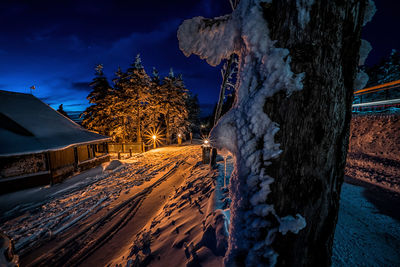 Panoramic view of snow covered trees and buildings at night