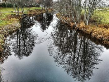 Reflection of bare trees in lake at forest