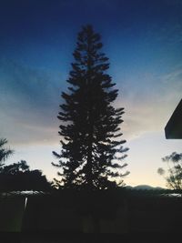 Low angle view of silhouette trees against sky