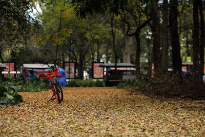 Bicycle on field in park during autumn