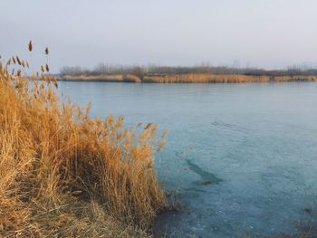 Scenic view of lake against sky