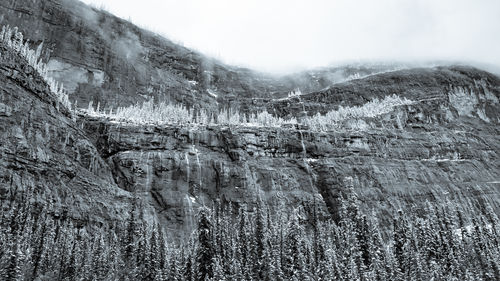 A vast mountain cliff with frozen trees and light waterfalls in black and white.