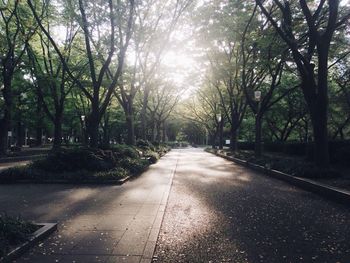 Road passing through trees