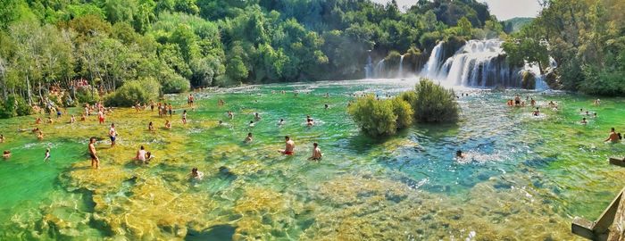 Scenic view of waterfall in forest