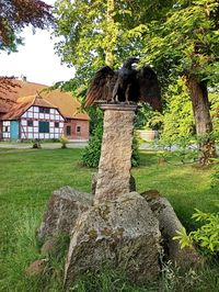 View of an animal on field