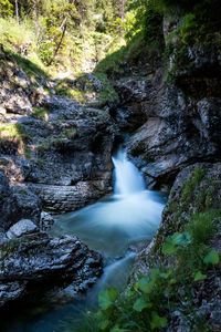 Scenic view of waterfall in forest