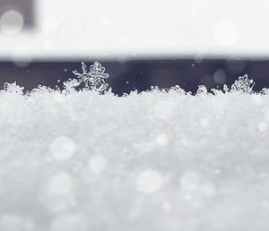 Close-up of frozen water