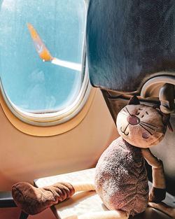 Stuffed toy by window in airplane