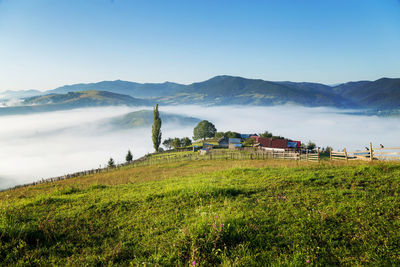 Scenic view of field against sky