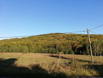 Scenic view of field against clear blue sky