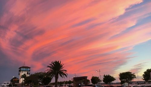 Low angle view of silhouette palm trees and buildings against sky