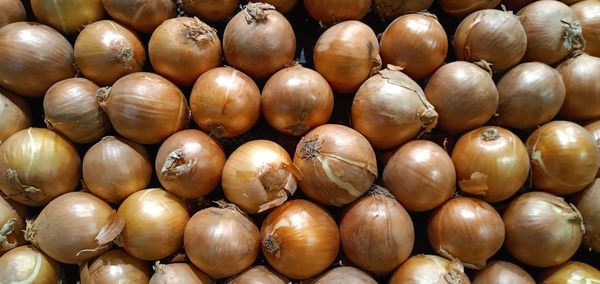 Full frame shot of onions