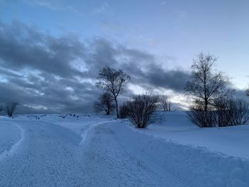 Scenic view of snow covered field against sky