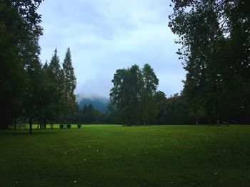 Scenic view of trees on field against sky