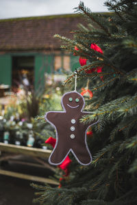 Close-up of christmas decoration hanging on tree