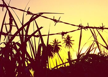 Close-up of silhouette grass against sky during sunset