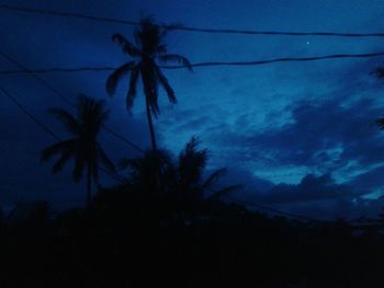 Silhouette of palm trees against cloudy sky