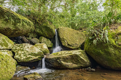 View of waterfall in rainforest