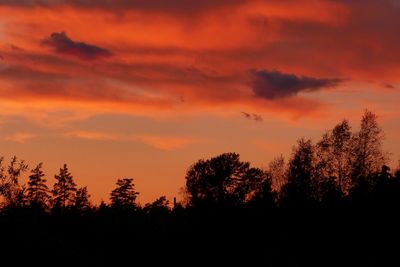 Silhouette trees against sky during sunset