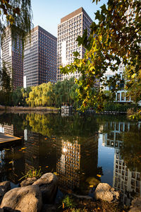 Reflection of buildings in water