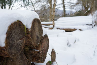 Snow on log pile