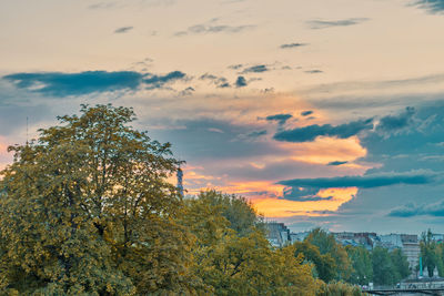 Low angle view of trees and buildings against sky during sunset